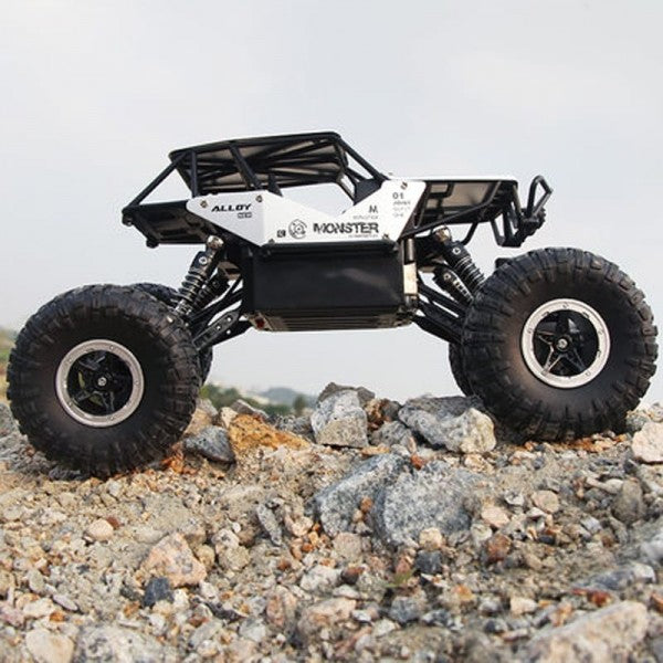 Rock Climber 2.4G four wheel Monster Car